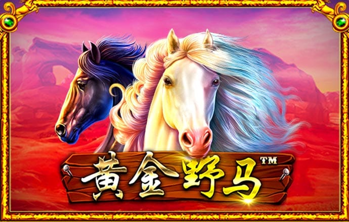 bti体育官网入口在线